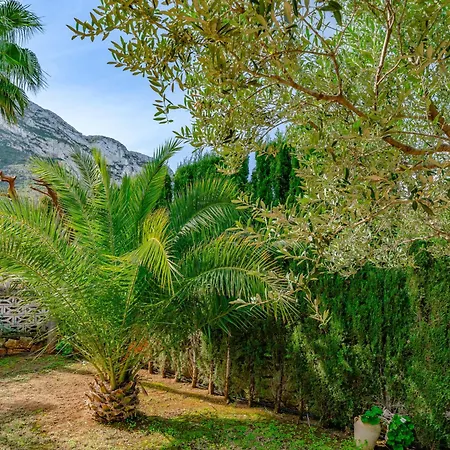 Fili By Interhome Holiday home Denia